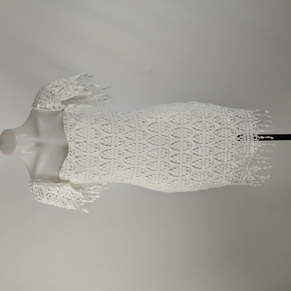 Lioness Dress Size Medium White Lined Cap Sleeves Zip-up Back Lace Fringe BNWT - Picture 2 of 8